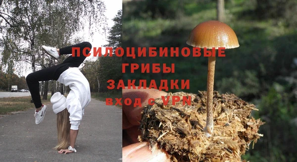 индика Осташков