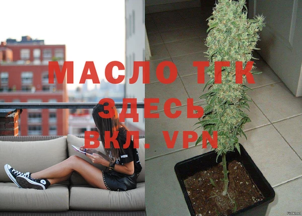 индика Осташков