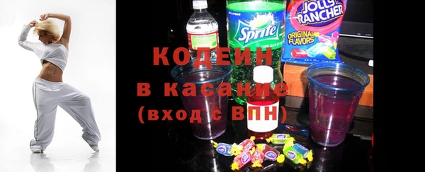 индика Осташков
