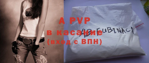 индика Осташков