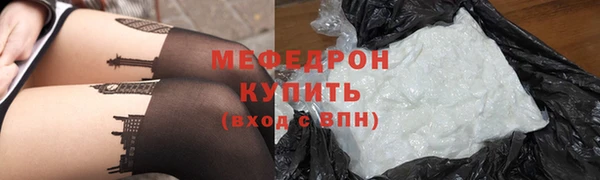 индика Осташков