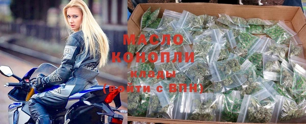 индика Осташков