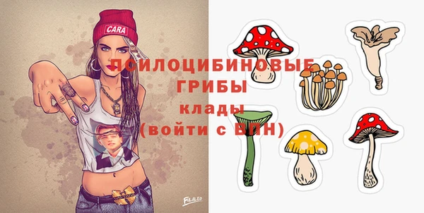 гашиш Няндома