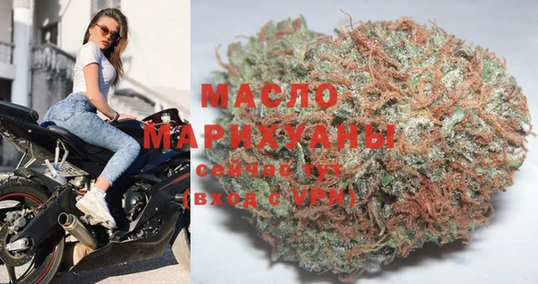 индика Осташков